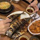 도니바니 애견유치원 이미지