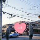 사림동117 이미지