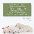 희망종합동물병원 이미지