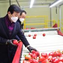 진주원예농협산지유통센터 이미지