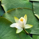 29주년 바다의 날 기념음악회 <바다에 헌정하다> | 29주년 바다의 날 기념 음악회_바다에 헌정하다