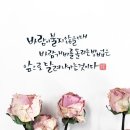 토요일 이미지