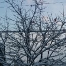 행복이가득한수송어린이집 이미지