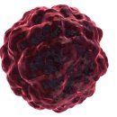 조형선외과동물병원 이미지