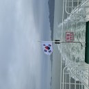 진도 관매도 유체꽃 이미지