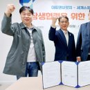 스포츠브릿지