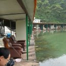 어의곡낚시터 이미지