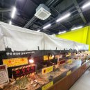 미니호텔 풍뎅이 | 여주 썬밸리 호텔 근처, 방학 아이와 가볼 만한 곳, 실내 가족 나들이 &lt;여주 곤충 박물관&gt;