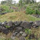 대포포구1 이미지