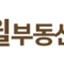 청담윌부동산중개법인주식회사 이미지