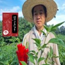 혜성농장 | 매운맛 고춧가루 추천! 국내산 100% 안동혜성농장