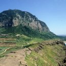 제주 산방산 암벽식물지대 이미지