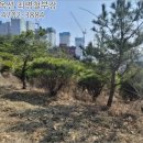 관고동-03 이미지