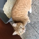 무료쉼터를 운영했었어요 이미지