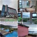와우(WOW)호텔 | 숙소추천] 수영장이 최고였던 '프래밀리 풀빌라 호텔' 2박3일 내돈내산 찐 후기 (스탠다드룸 / 패밀리룸)