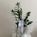 영전오토바이