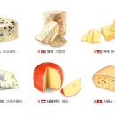 치즌