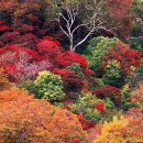 여치펜션민박 이미지