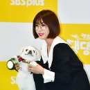 댕댕CLUB 이미지