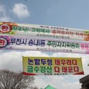 27회 보안면 체육대회(2013년 4월 7일- 보안중학교 운동장) 이미지