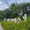 꿈아이 | 북서울꿈의 숲 물놀이장 후기 5세 아이와 하루 종일 신나게 놀기!