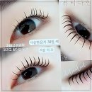 다인뷰티 | 충청도 뷰티 성지 발견! 내 눈썹 인생 바꾼 뷰티다인 방문 후기