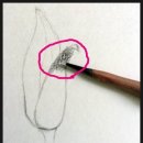 기초 보태니컬아트 기법 이미지