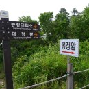 이정표 Daum카페