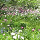 흑룡한의원 이미지