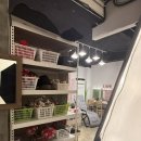 청주여권사진 미스터포토청주점 로데오거리3층