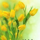 맛점시대 이미지