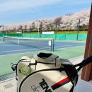 소프트 비 | 🎾마포 테니스장 추천｜망원유수지 소프트테니스장 이용 후기 (예약, 주차, 시설)