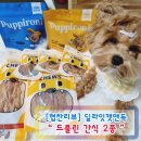 딜라잇츄 - 수성구 들안로14길 21 | 강아지간식 드룰린 터키츄 퍼피로니 쫄깃한식감과 오래먹는개껌추천 딜라잇캣앤독 (Feat. 7개월 호두)