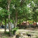 화양원탑캠핑장 이미지