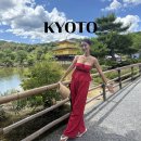세운버스 | 일본 여행 추천 오사카 출발 교토 버스투어 당일치기 후기