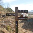 솔향기팬션 Daum카페