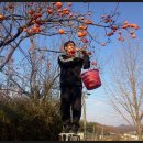 연흥농장 이미지