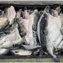 신안센터-2 이미지