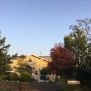 마르타하우스 | 제주도 서쪽 숙소 에어비앤비 마르타하우스 내돈내산 후기