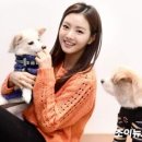 또치 Daum카페
