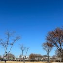 [실천학교] 사주 명리학 기초잡기 | [갈아타기 팁] 집을 팔 때의 마음가짐과 경험담 (집 팔리는 미신, 신앙의 회복, 간구하는 마음, 연결...