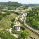 보성
