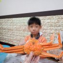 순양호영덕대게직판장