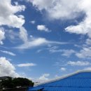 돌담 너머 하늘 이미지