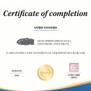 행정용 45 | [사무행정] 코멘토 직무부트캠프 현직자와 함께 하는 공공기관 사무행정직이 실제로 하는 일 A to Z 후기