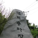 탄금힐링레포츠파크 (옥외1) | 2014.4.11 대구 "대덕승마장 방문기" (대구시설관리공단)