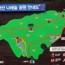 봉황산나래숲 이미지