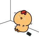 스테이호반