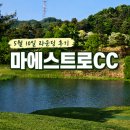 마에스트로CC 후기｜코스관리 좋고 재미있었던 5월 라운딩⛳