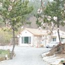 해담뜰민박